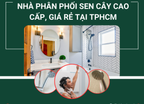 Nhà Phân Phối Sen Cây Cao Cấp, Giá Rẻ tại TPHCM