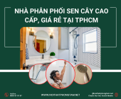 Nhà Phân Phối Sen Cây Cao Cấp, Giá Rẻ tại TPHCM